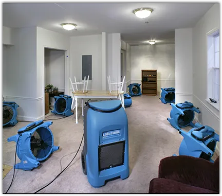 Water Mitigation Services in Pacific, MO